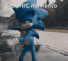 Sonic Momento Sonic GIF