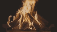 Campfire Shummer GIF - Campfire Shummer Fire GIFs