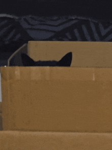 GIF