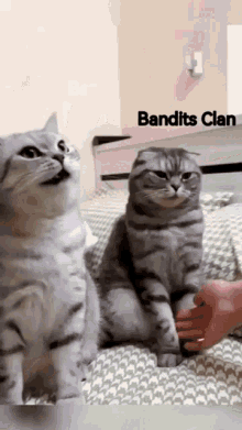 Bandits Clan GIF - Bandits Clan GIFs