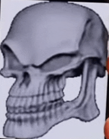 a person is holding a picture of a skull on a piece of paper .