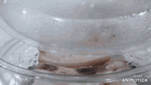 slices of meat are in a glass dish with the words made in animotica written on the bottom