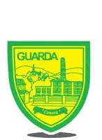 a yellow and green emblem with the word guarda on it