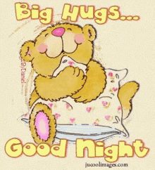 Good Night Hug Bear GIF - Good Night Hug Bear Big H Ugs GIFs