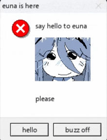 a computer screen that says euna is here say hello to euna please buzz off