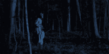 Listening Woods GIF - Listening Woods Look Up GIFs