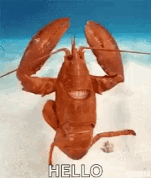 Lobster Hello GIF - Lobster Hello GIFs