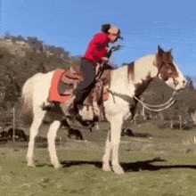 Equestrian Cowgirl GIF - Equestrian Cowgirl Cowboy GIFs