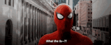 What The Wtf GIF - What The Wtf Spider Man GIFs