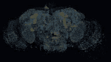 Pixel Brain GIF - Pixel Brain GIFs