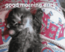 Erick Good Morning GIF - Erick Good Morning Morning GIFs