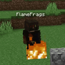 Flamefrags GIF - Flamefrags GIFs