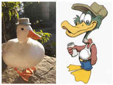 a duck wearing a hat is next to a cartoon duck