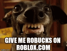 Robux Roblox GIF - Robux Roblox Dog GIFs