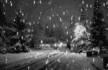 it is a black and white photo of snow falling on a street at night .