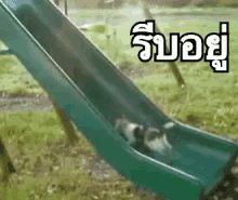 รีบอยู่ แมว วิ่ง สไลด์เดอร์ GIF - Cat Run Slider GIFs