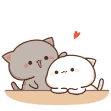 cuddles love cute cat mochi