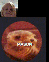 Mason Shark GIF - Mason Shark GIFs