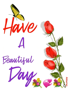a picture of a butterfly and roses with the words have a beautiful day