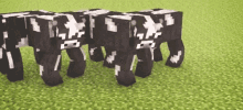 Random Cow GIF - Random Cow Funny GIFs