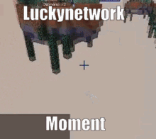 Luckynetwork Luckynetwork Moment GIF