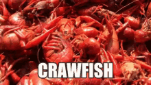 crawfish cajun crawfish cajun food
