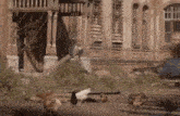 a group of chickens are walking in front of a building .