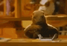 GIF