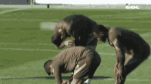 a group of soccer players are squatting on the field .