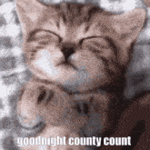 County Count Larucad GIF - County Count Larucad GIFs