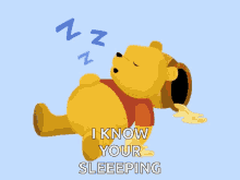 Pooh Winnie The Pooh GIF - Pooh Winnie The Pooh Sleeping GIFs