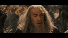 Gandalf Grey Wizard GIF