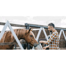 Microbiome Stance Equitec GIF - Microbiome Stance Equitec Horse Supplements GIFs