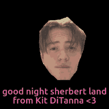 kit connor nick nelson nick nelson actor good night sherbert land