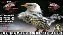 a picture of a chicken with the words museum bola on the bottom