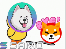 Samo Shib GIF - Samo Shib Samoyedcoin GIFs