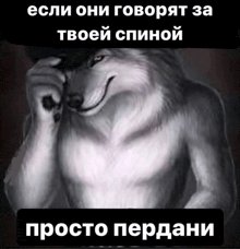 a black and white photo of a wolf with russian writing on it