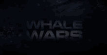 Whale Wars Whale GIF