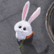 snowball bunny carrot nuf nuf looking around