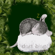 Sleeping Mouse GIF - Sleeping Mouse Cozy GIFs