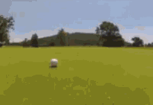 Ball Putted GIF - Ball Putted Goal GIFs