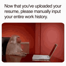 Job Resume GIF - Job Resume Work GIFs
