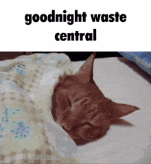 Waste Central Radiohead GIF - Waste Central Radiohead Goodnight Waste Central GIFs