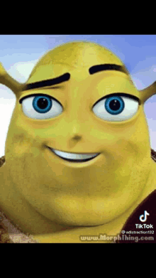 Shrek GIF - Shrek GIFs