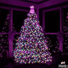 Christmas Tree Light GIF - Christmas Tree Light Glowing GIFs