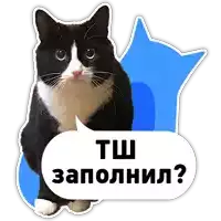 a black and white cat with a speech bubble that says tsh zapolnil