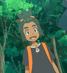 Hau Pokemon Pokemon GIF - Hau Pokemon Pokemon Sun And Moon GIFs
