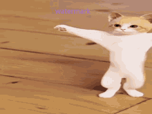 GIF