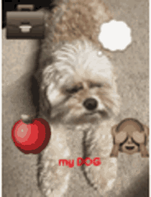 Milo Dog GIF - Milo Dog Madeline GIFs