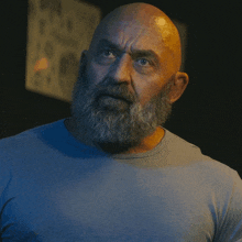 a bald man with a beard is wearing a grey shirt